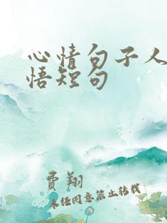 心情句子人生感悟短句
