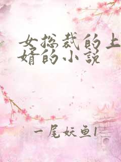 女总裁的上门女婿的小说