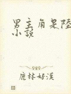 男主角是陆明的小说