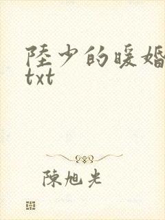 陆少的暖婚新妻txt