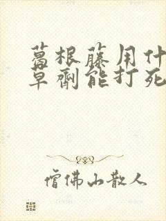 葛根藤用什么除草剂能打死