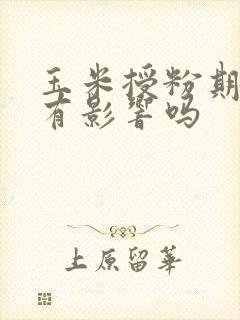 玉米授粉期阴天有影响吗
