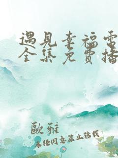 遇见幸福电视剧全集免费播放