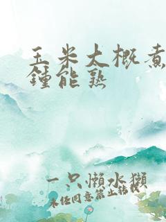 玉米大概煮几分钟能熟