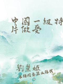 中国一级特黄大片做受