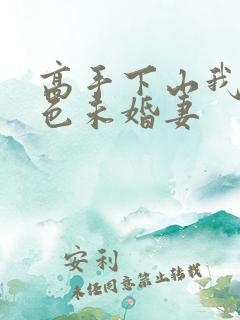 高手下山我的绝色未婚妻