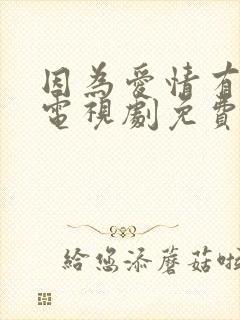 因为爱情有多美电视剧免费观看高清