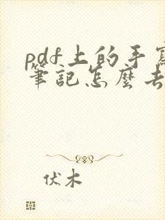 pdf上的手写笔记怎么去掉