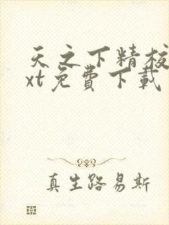天之下精校版txt免费下载