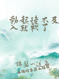 勃起后不及时插入就软了