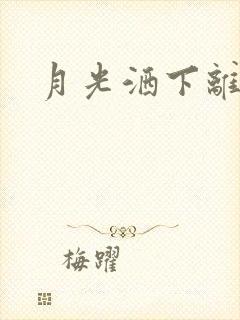 月光洒下离人