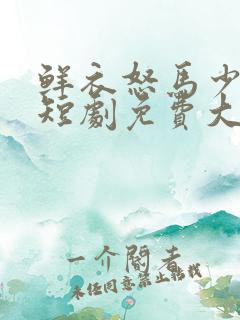 鲜衣怒马少年郎短剧免费大结局