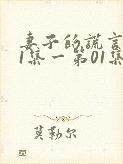 妻子的谎言第01集一第01集