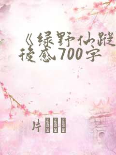《绿野仙踪》读后感700字