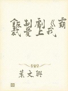 饭制剧《霸道总裁爱上我