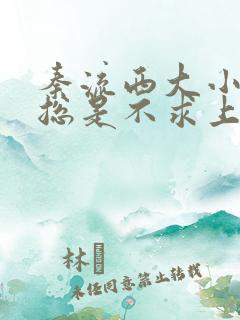 秦流西大小姐她总是不求上进