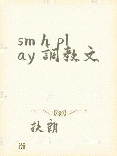 sm h play 调教文