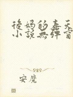 后妈的春天王磊小说无弹窗
