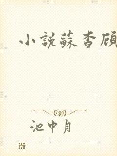 小说苏杳顾君亦