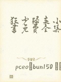 狂少归来小说听书免费全集