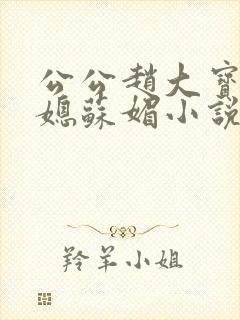 公公赵大宝和儿媳苏媚小说