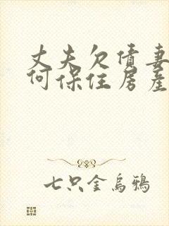 丈夫欠债妻子如何保住房产