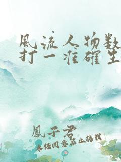 风流人物数今期打一准确生肖