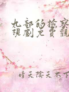 九部的检察官电视剧免费观看完整版