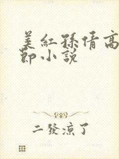 美红孙倩高义章节小说
