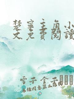 楚宁主角小说全文免费阅读