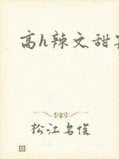 高h辣文甜宠