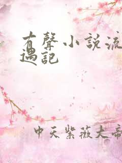 有声小说流氓艳遇记