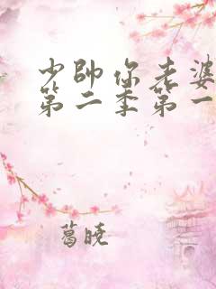 少帅你老婆跑了第二季第一集