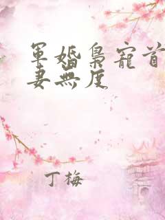 军婚枭宠首长宠妻无度