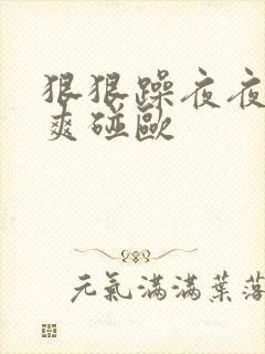 狠狠躁夜夜躁人爽碰欧