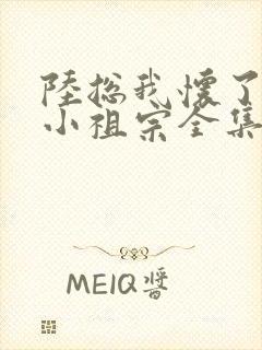 陆总我怀了你的小祖宗全集短剧免费阅读