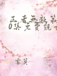 正者无敌第400集免费观看