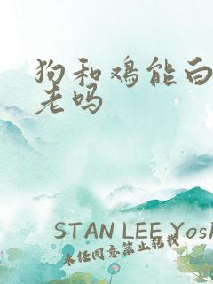 狗和鸡能白头到老吗