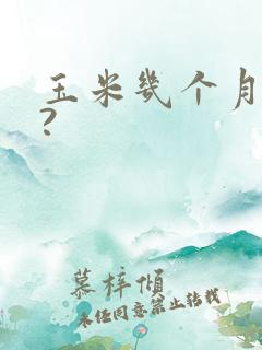 玉米几个月成熟?