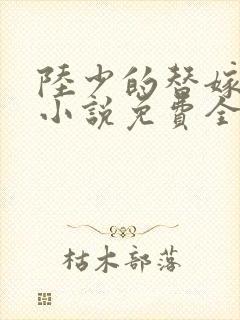 陆少的替嫁宠妻小说免费全文