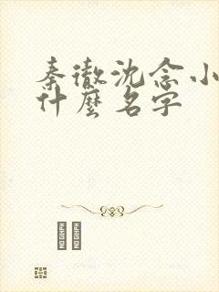 秦彻沈念小说叫什么名字