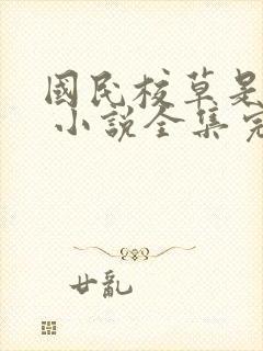 国民校草是女生 小说全集完整版txt