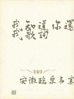我知道你还爱着我歌词