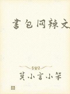 书包网辣文h