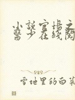 小说官场之风流医少在线阅读