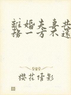离婚夫妻共同债务一方不还怎么办