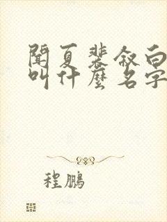 闻夏裴叙白小说叫什么名字