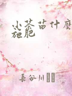 小茶苗什么时候施肥