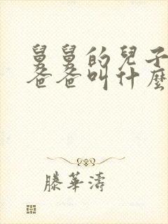 舅舅的儿子叫我爸爸叫什么
