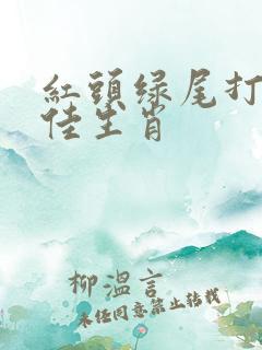 红头绿尾打一最佳生肖